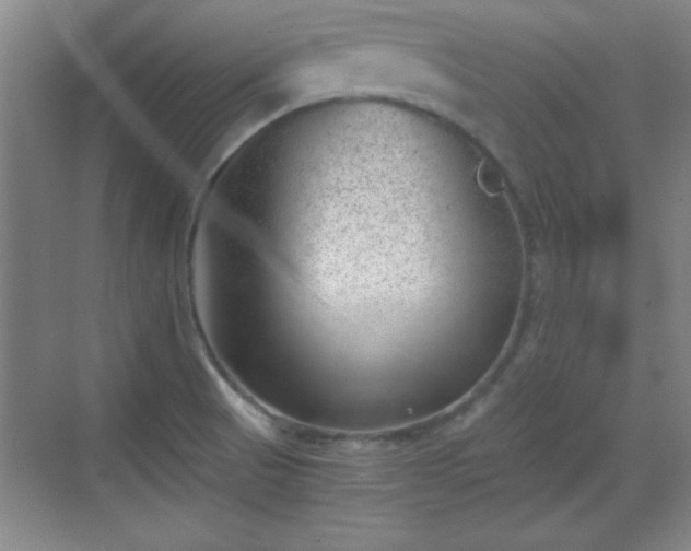 X0000068831521200605081200