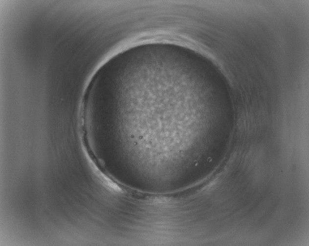 X0000068831522200605081200