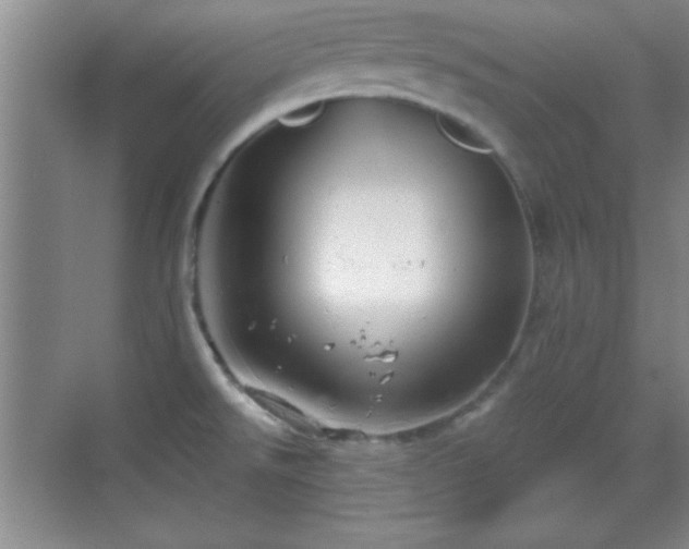 X0000068831526200605081200