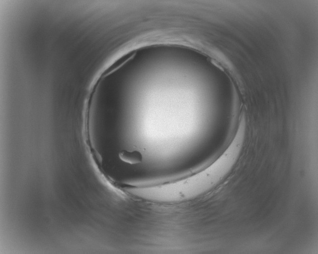 X0000068831528200605081200