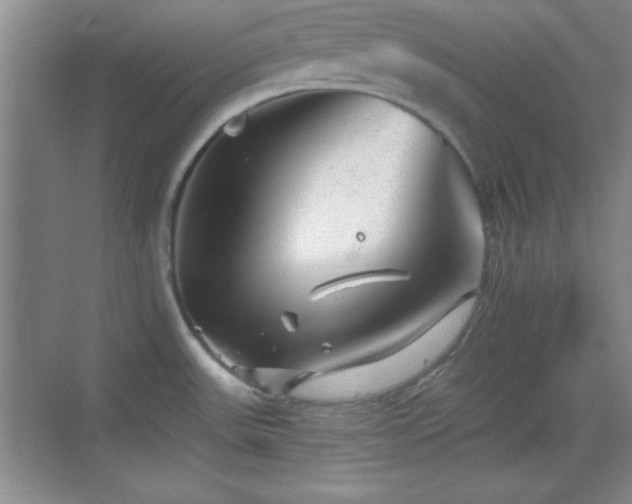 X0000068831531200605081200