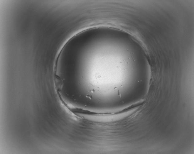 X0000068831532200605081200