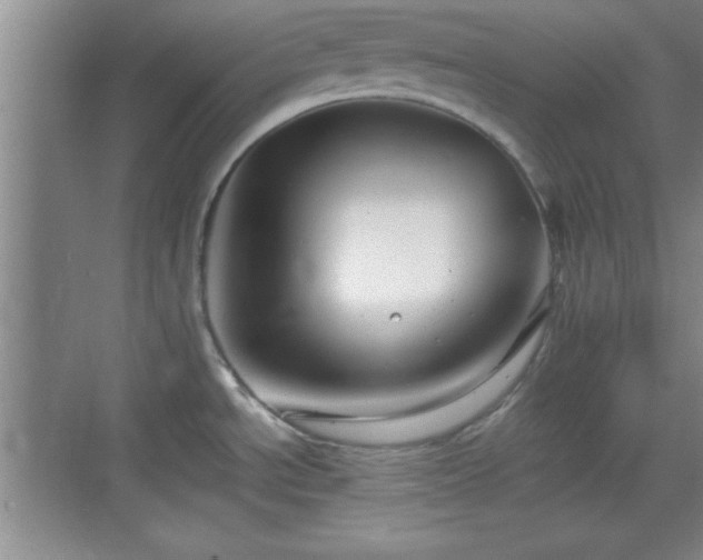 X0000068831534200605081200