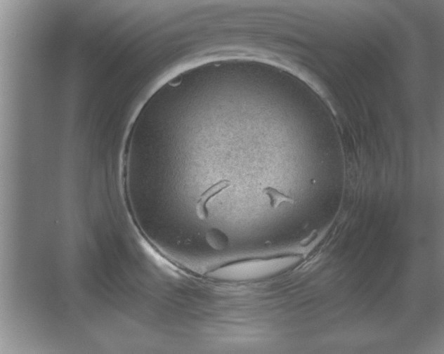 X0000068831535200605081200