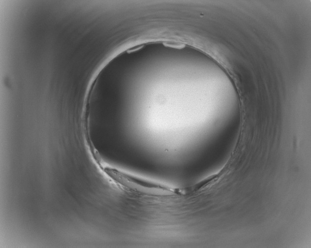 X0000068831536200605081200