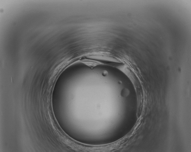 X0000068830001200605121353