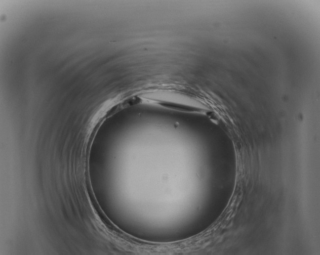 X0000068830003200605121353