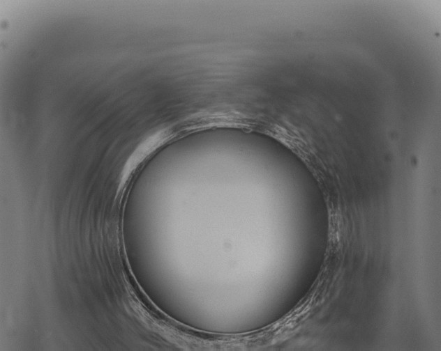 X0000068830004200605121353