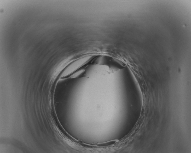 X0000068830005200605121353