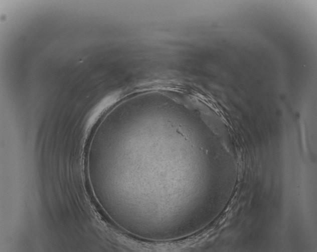 X0000068830006200605121353