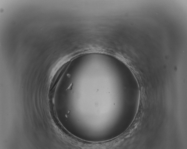 X0000068830007200605121353