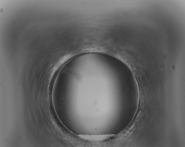 X0000068830008200605121353