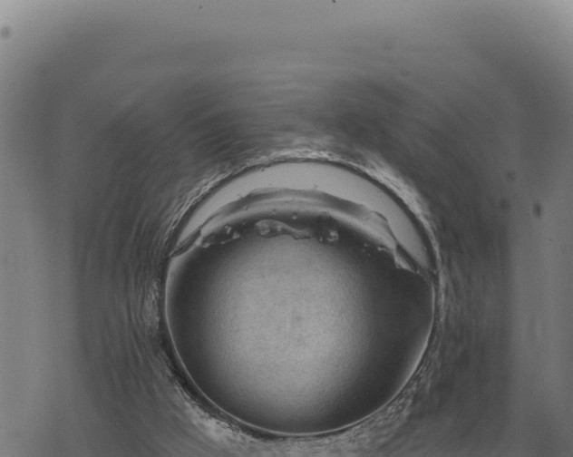 X0000068830009200605121353