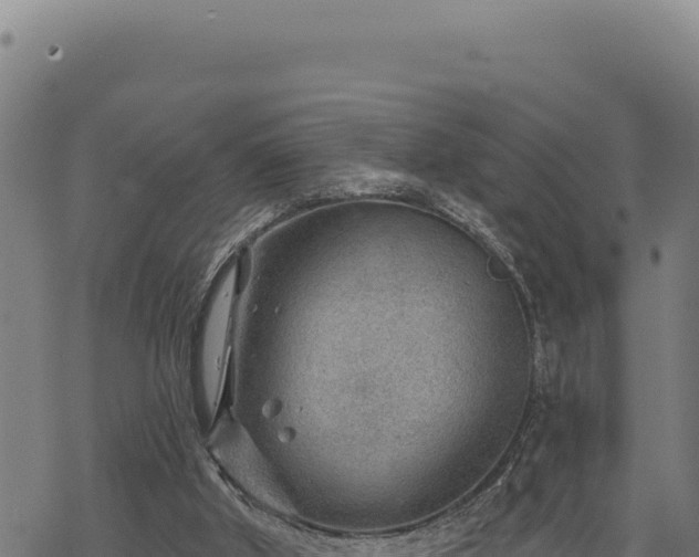 X0000068830010200605121353