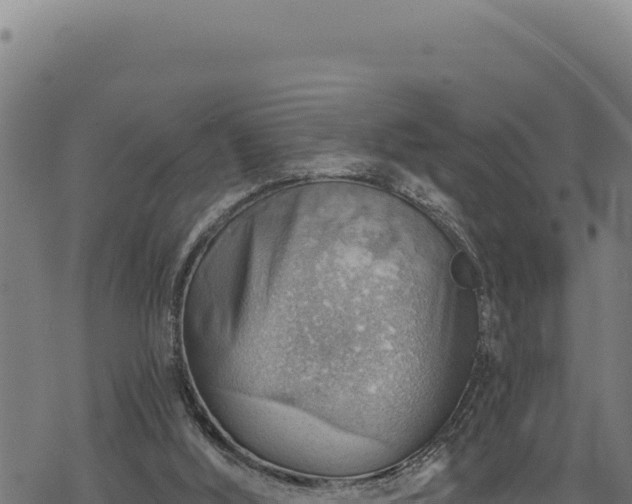 X0000068830012200605121353