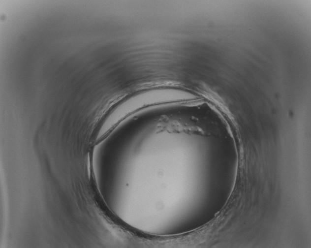 X0000068830013200605121353