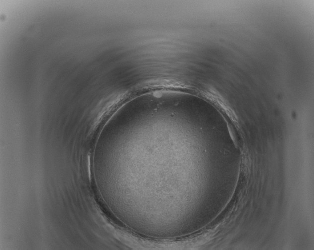 X0000068830014200605121353