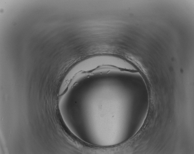 X0000068830017200605121353