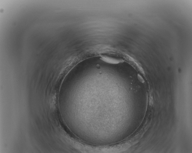 X0000068830018200605121353