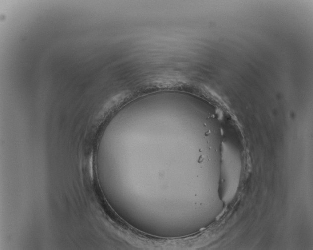 X0000068830019200605121353