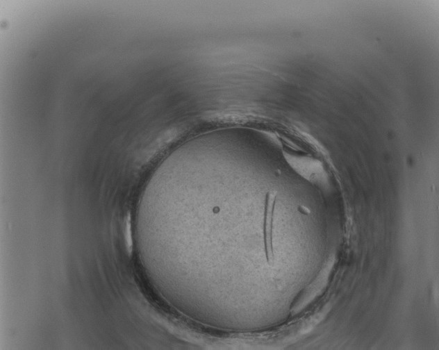 X0000068830020200605121353