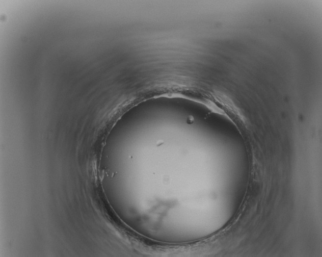 X0000068830021200605121352