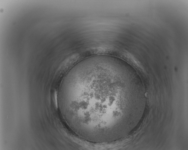 X0000068830022200605121352