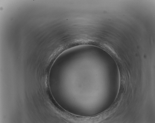 X0000068830023200605121352