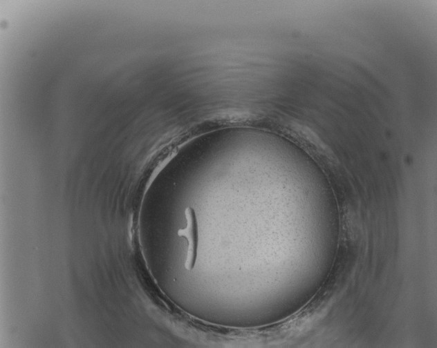 X0000068830024200605121352