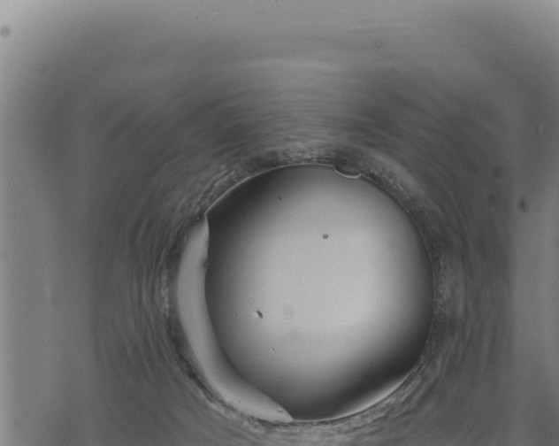 X0000068830025200605121352