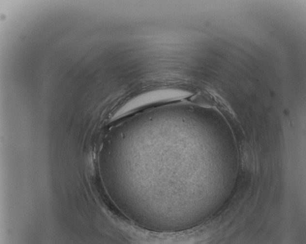 X0000068830026200605121352