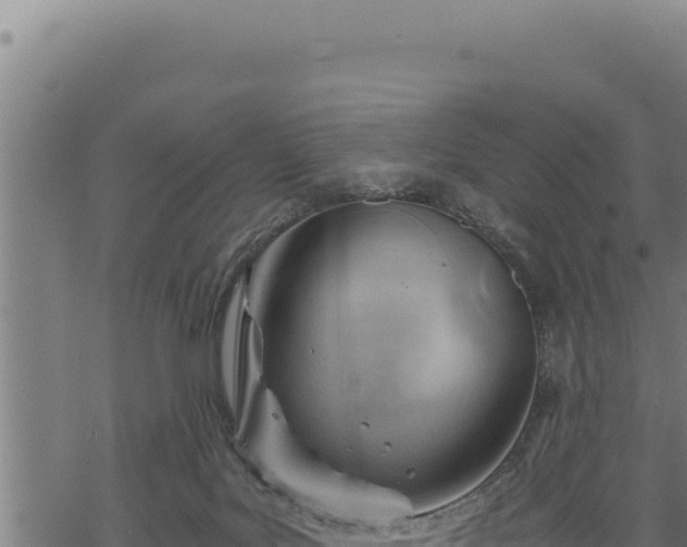 X0000068830027200605121352