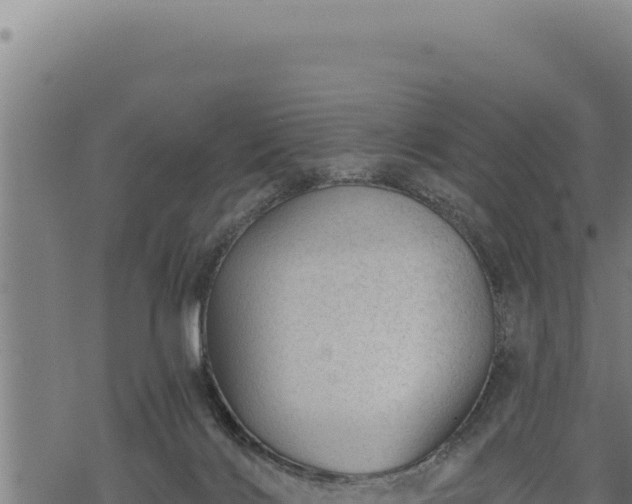 X0000068830028200605121352