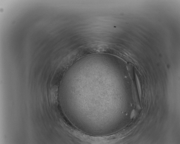 X0000068830030200605121352