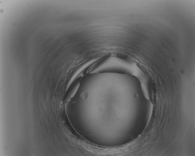 X0000068830031200605121352