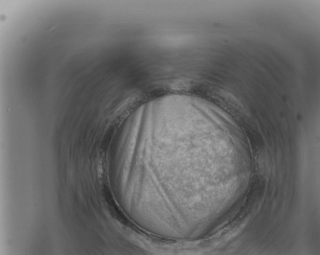 X0000068830032200605121352