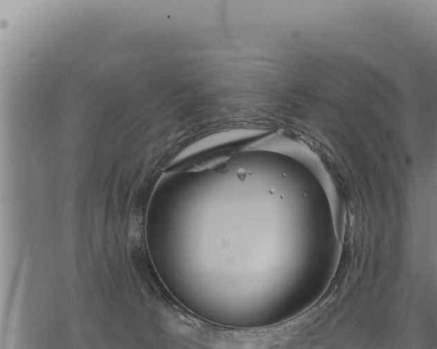 X0000068830033200605121352