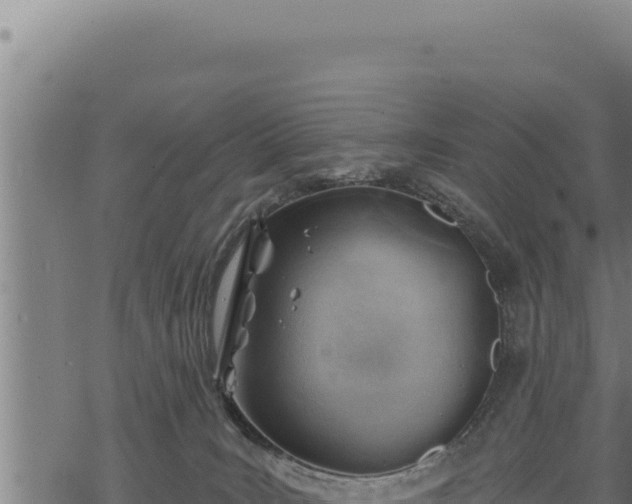 X0000068830035200605121352