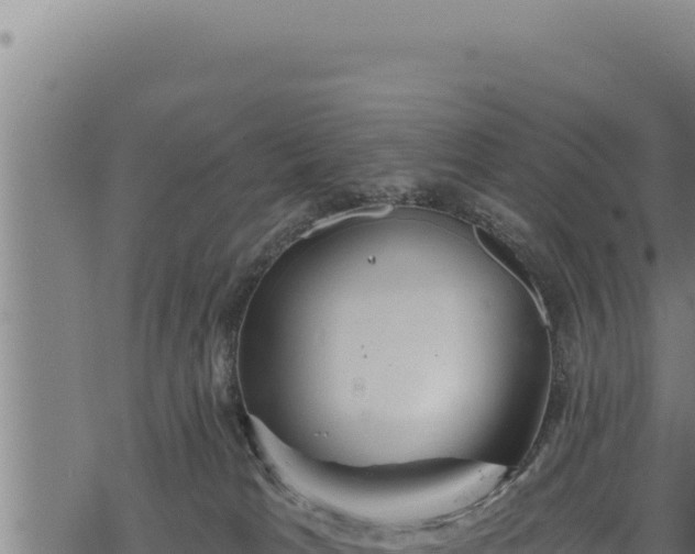 X0000068830037200605121352