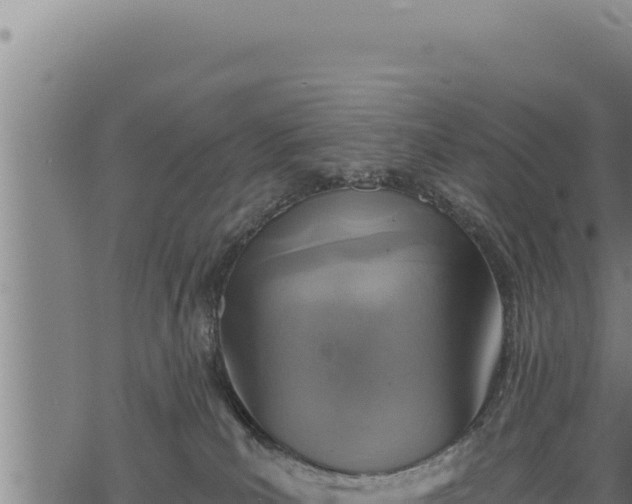 X0000068830039200605121352