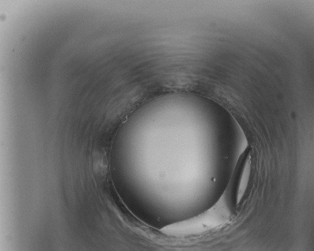 X0000068830040200605121352