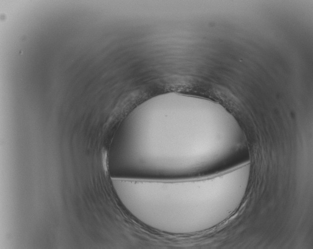 X0000068830041200605121352