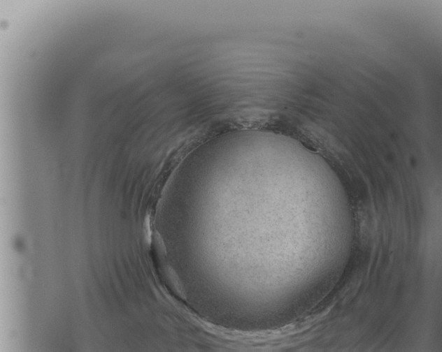 X0000068830042200605121352