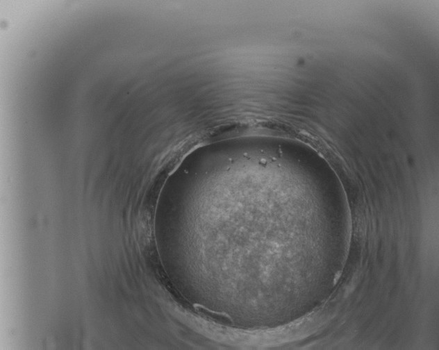 X0000068830043200605121352