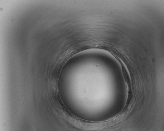 X0000068830044200605121352