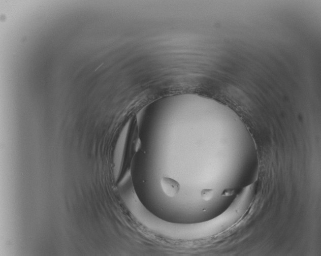 X0000068830045200605121352