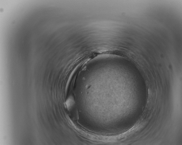 X0000068830048200605121352