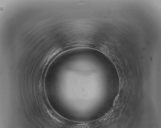 X0000068830050200605121351