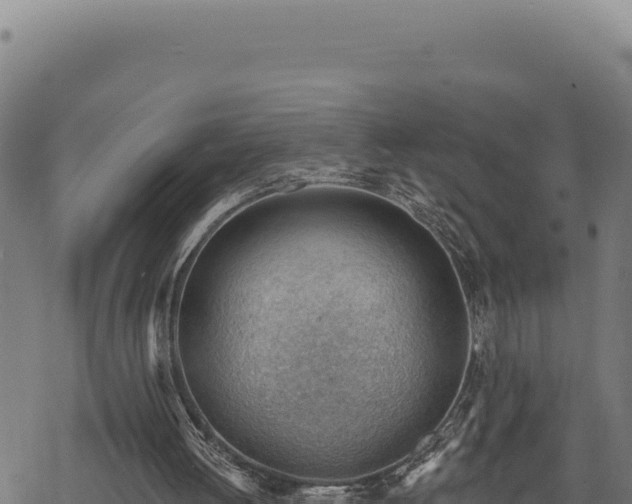 X0000068830052200605121351