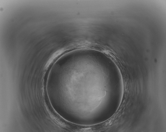 X0000068830054200605121351